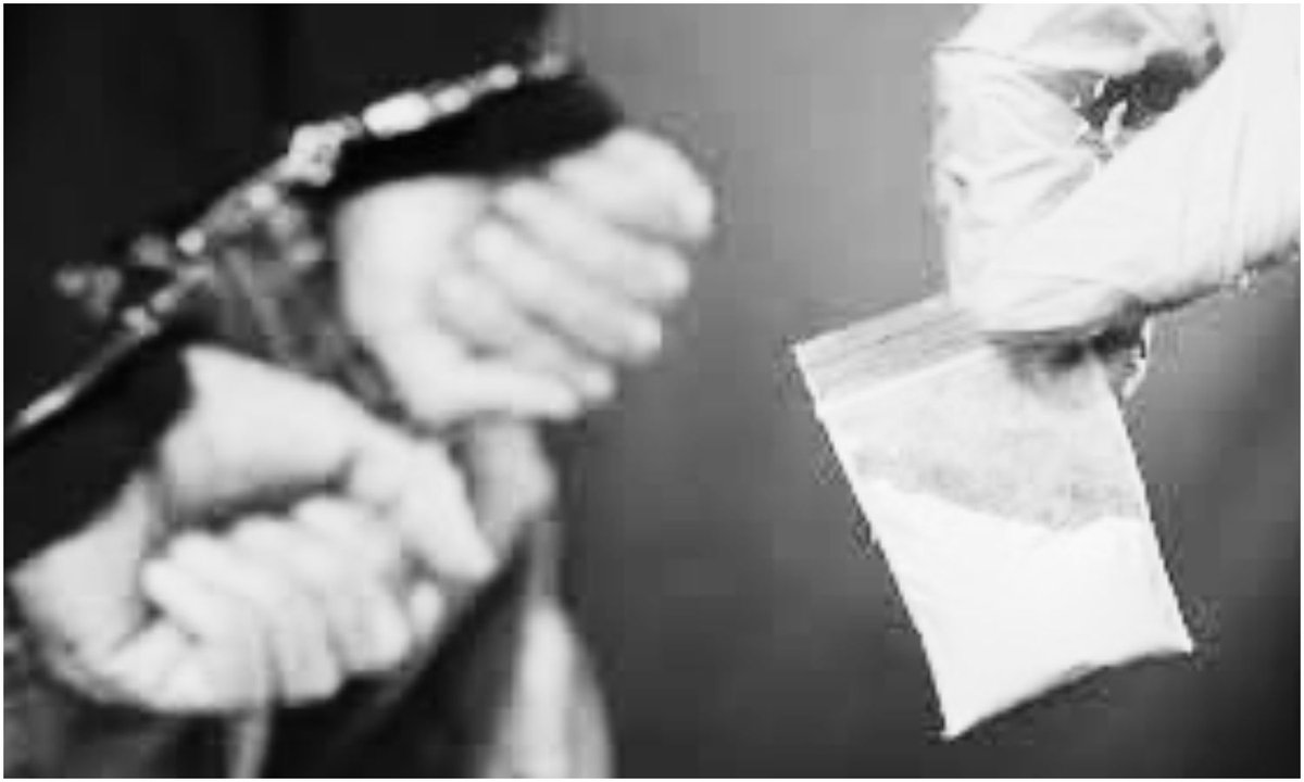 Charminar_News's tweet image. نئے سال سے پہلے ایس او ٹی مادھاپور کی بڑی کارروائی-8پڈلرز گرفتار، ہیروئن، ایم ڈی ایم اے اور گانجہ ضبط۔

charminarnews.in/drug-crackdown…

#DrugCrackdown #Hyderabad #SOTMadhapur