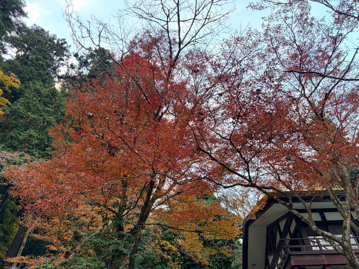 utopiaword's tweet image. 真我に生きる