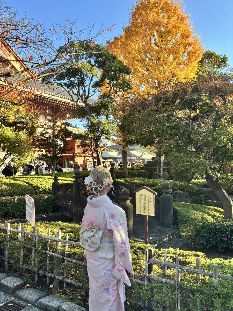 ‎‏ً tweet media