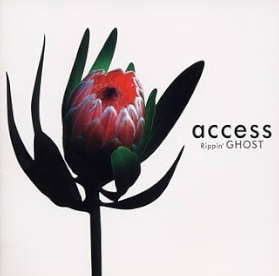 MACD455229's tweet photo. 熱海で見かけたこの植物、既視感あると思ったらコレでした🪴
#access
#RippinGHOST
#プロテアの一種らしい https://t.co/JIb8rNPSjO