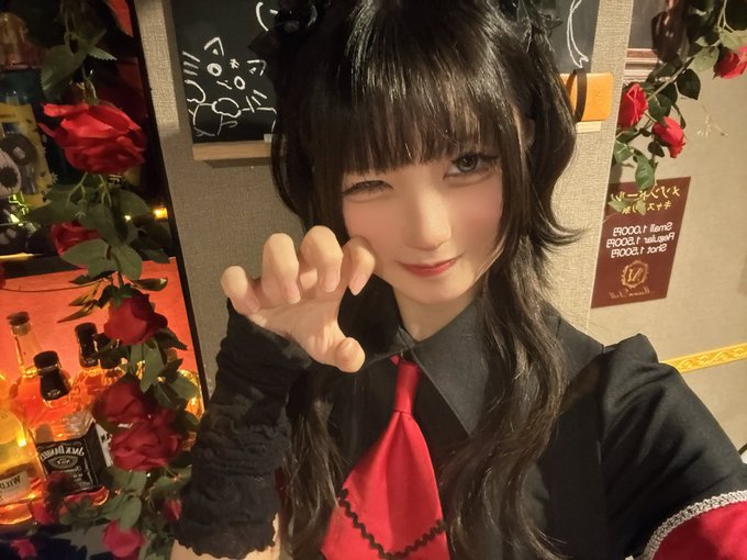 Maison Dollのツイート