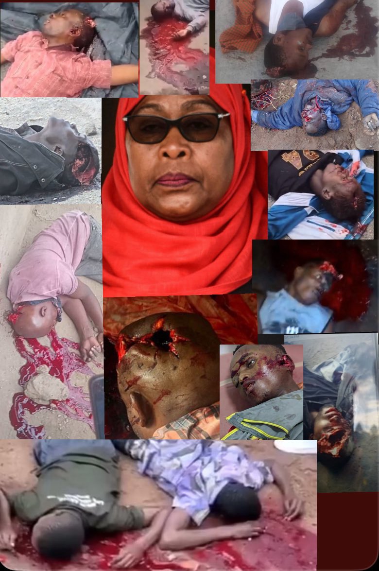 Liberatus80's tweet image. Samia Suluhu Hassan kalazimisha kuingia madarakani kwa damu. Kaua maelefu. 

EU wamekata pesa, USA inafuata. SADC imekataa kumtambua. AU nayo imemkana. Kagame kapiga kimya. 

Ruto kasema hakuna democracy unashinda kwa 98%. Thabo Mbeki kasema serikali ya Samia ni illegitimate.…
