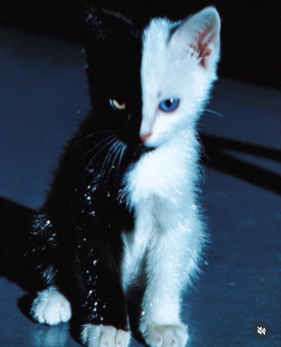 𝖆𝖗𝖙𝖟~𝖓𝖔𝖜 (@artznow_) on Twitter photo 