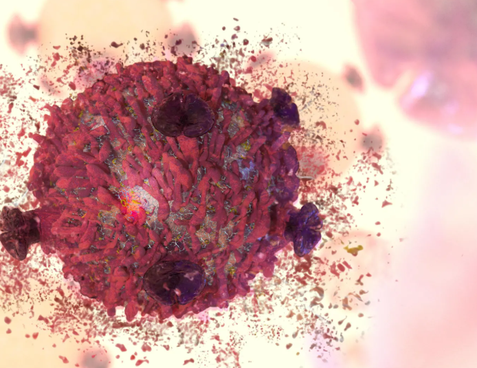 talius's tweet image. #Hidden #weakness makes #prostate #cancer #self-#destruct

Researchers found that prostate cancer cells rely on enzymes, PDIA1 &amp;amp; PDIA5, for survival &amp;amp; therapy resistance. Blocking them causes the androgen receptor to collapse, killing cancer cells scitechupdates.com/hidden-weaknes…