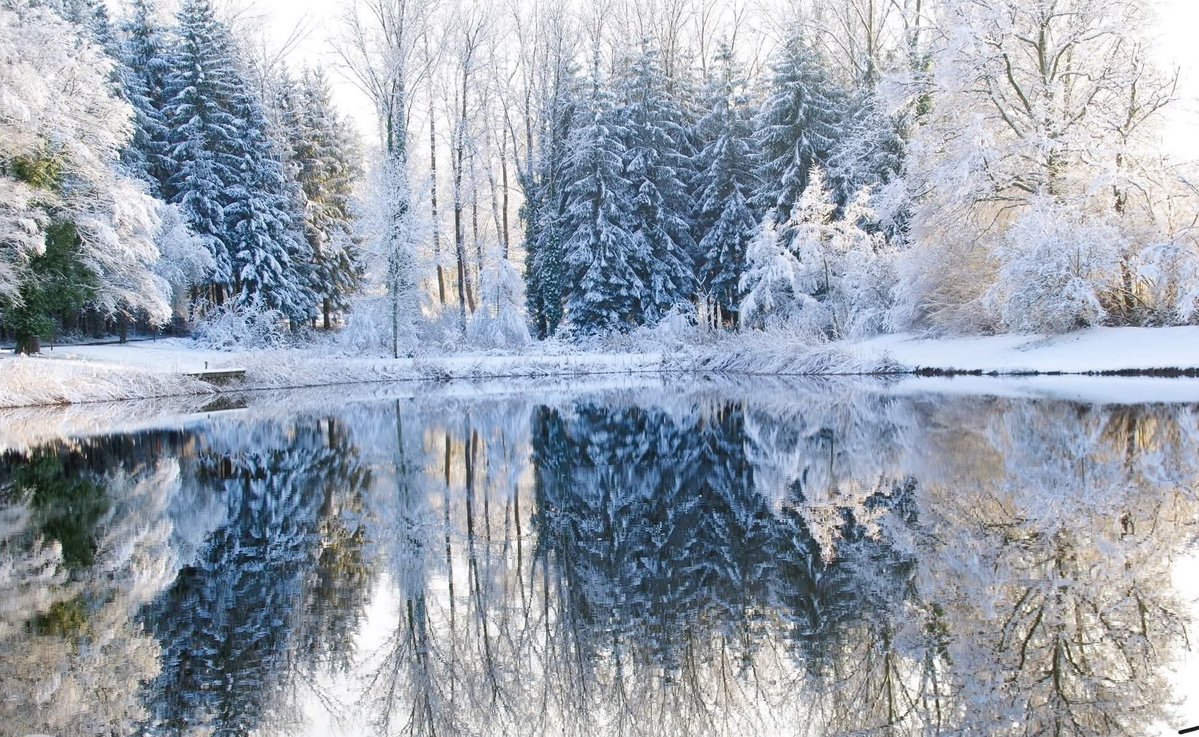 EdithPY2's tweet image. À Beulotte Saint-Laurent, les étangs sous la neige sont féeriques. Toujours le massif des #Vosges mais en #HauteSaône cette fois, au plateau des Mille Étangs