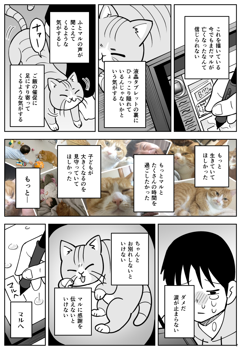 【漫画】おやすみマル (※注意:ペットとのお別れ表現が含まれます)(2/2) 