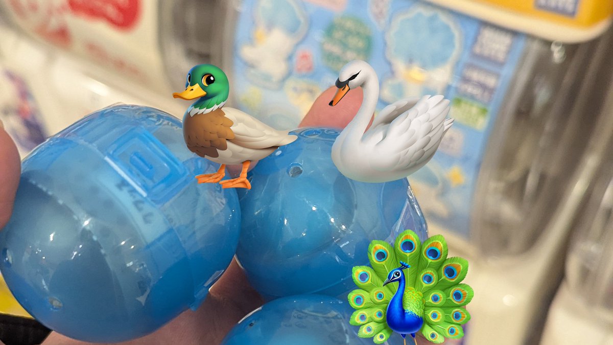 ポケセンの外のガチャガチャ、売れ残りすぎてクワッスだけのガチャガチャが3筐体分残ってた
どうか、
救済を。