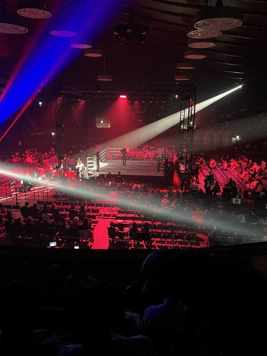 SHOOTBOXING🥊🥊🥊