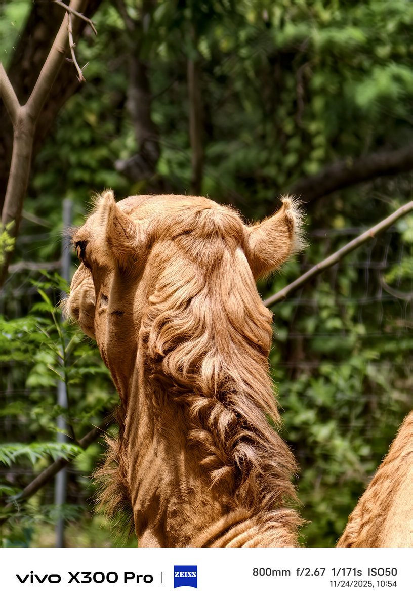 stufflistings's tweet image. Some more.

#vivo #vivoX300Series #shotonvivoX300Pro