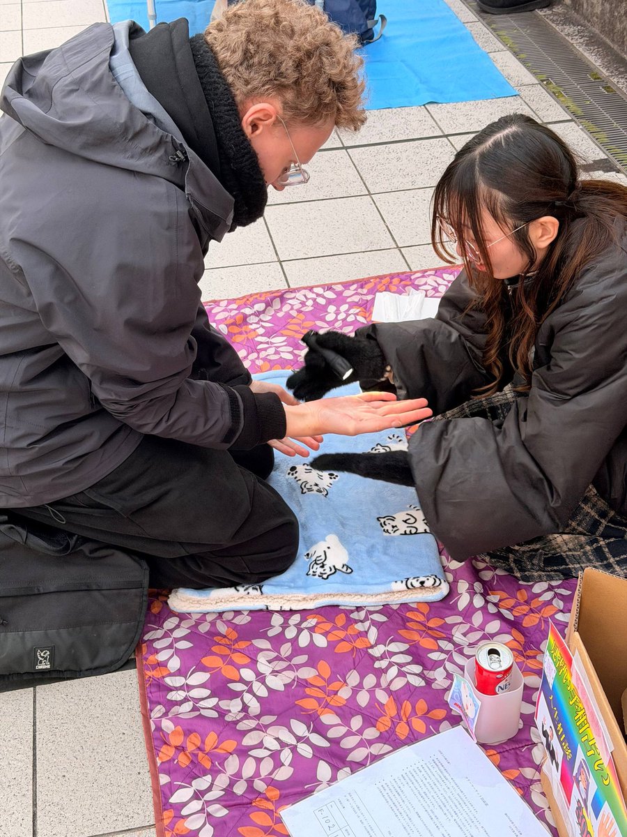 Самое веселое на студенческом фестивле Киотского универа — это вот эта девочка-хиромант.

Говорит с такой уверенностью, что как будто статью в википедии про тебя читает.

Лучший перформанс за 300 йен в моей жизни.