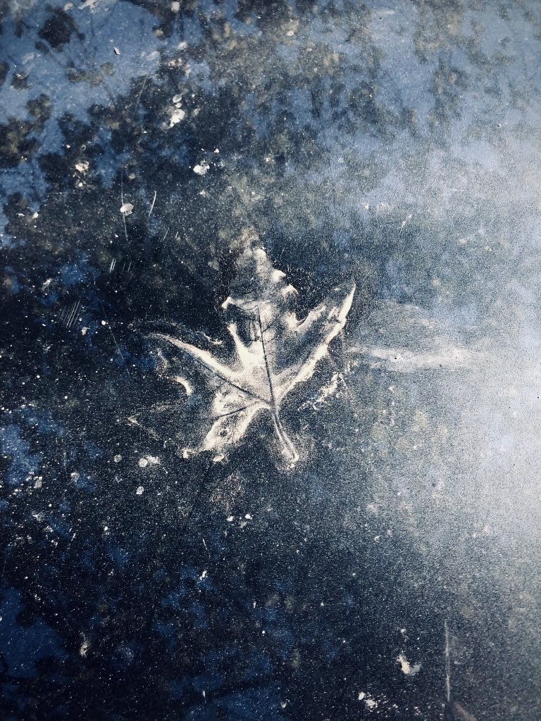 Good Morning 🤍

🍁 November 

OE