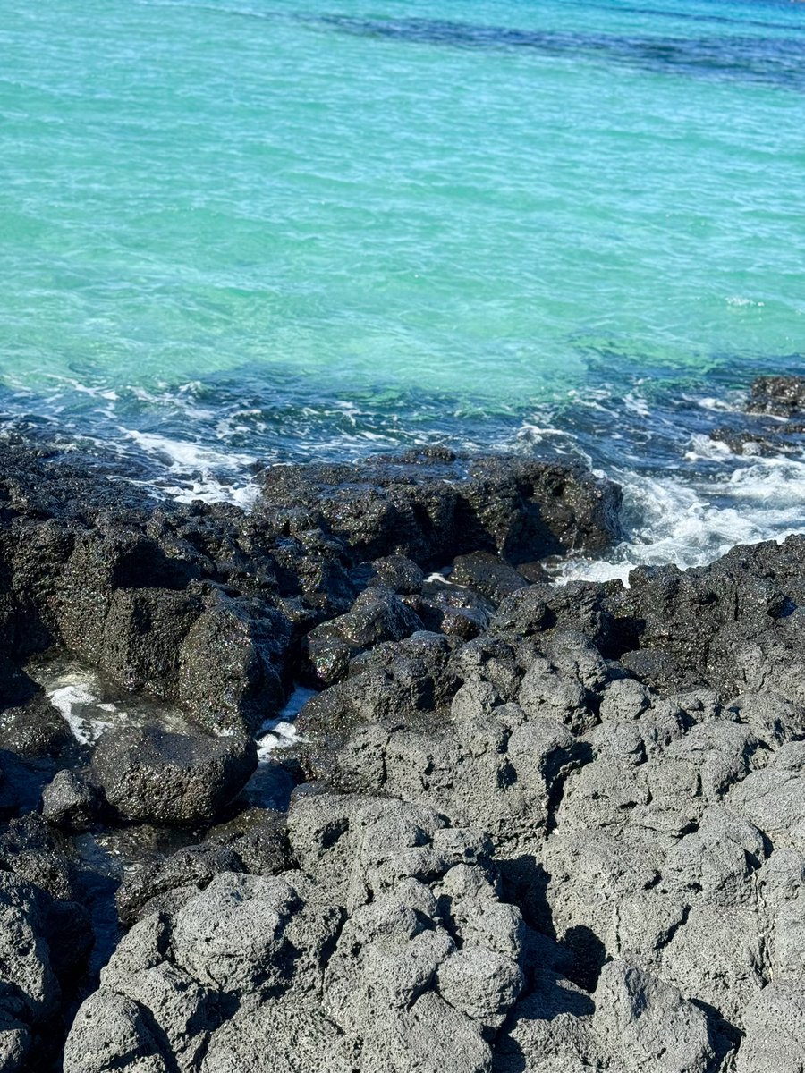 이브이 tweet media