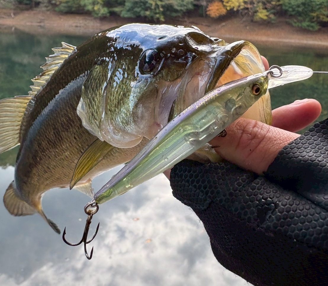 【特価‼️早い者勝ち‼️希少】メガバス IP79R Megabass