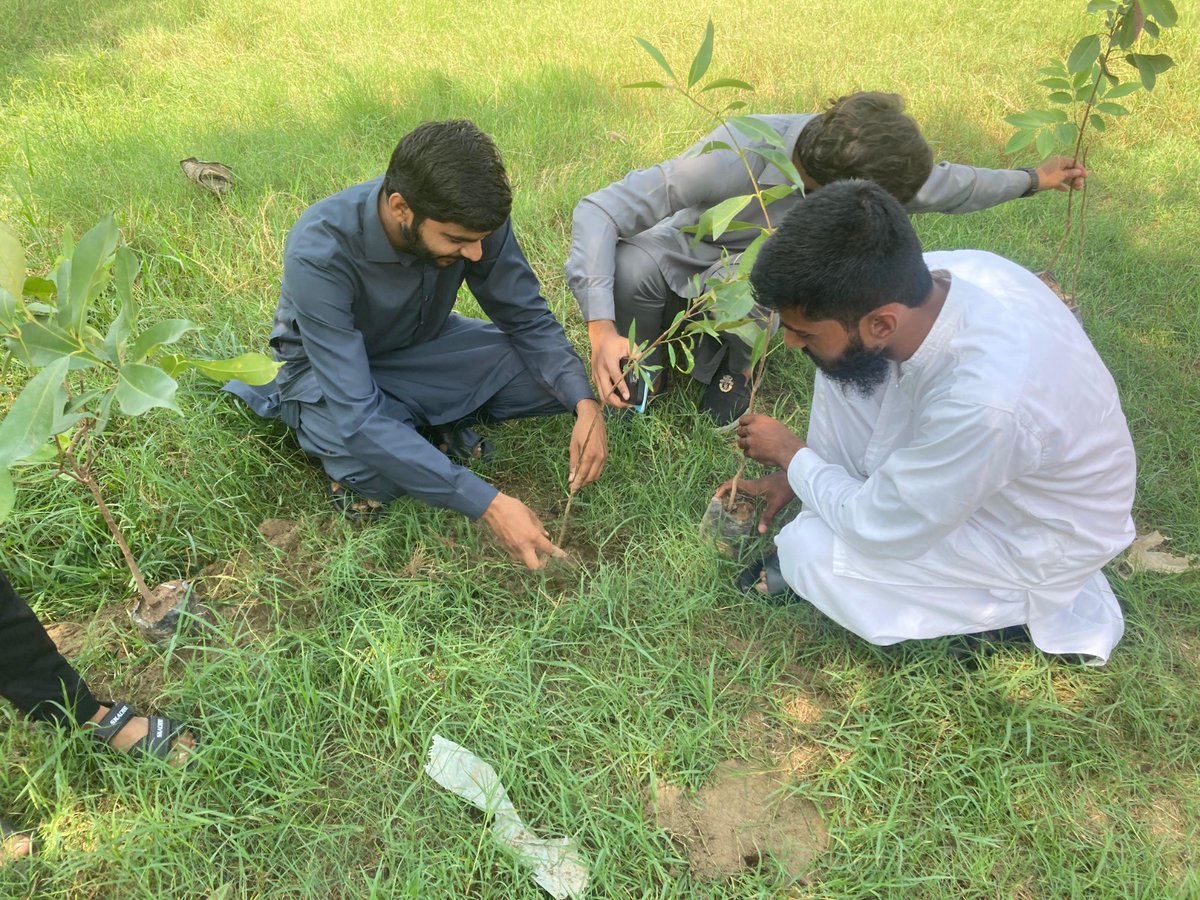 SSDOPakistan's tweet photo. Tree Plantation Activity by YLA Group 4 🌿
under the Pakistan Youth Leadership Initiative (PYLI).
#BritishCouncil #PYLI #EducationAboveAll #YouthForChange #TreePlantation #YLA #ClimateAction #YouthLeadership
@BritishCouncil @EAA_Foundation @GovtofPakistan @ClimateOpticsPK https://t.co/12z5hDj6f5