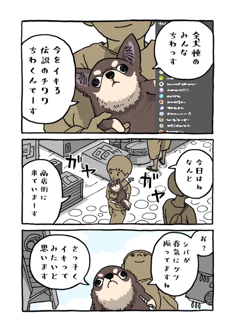 ちわチューバー(1/2) 