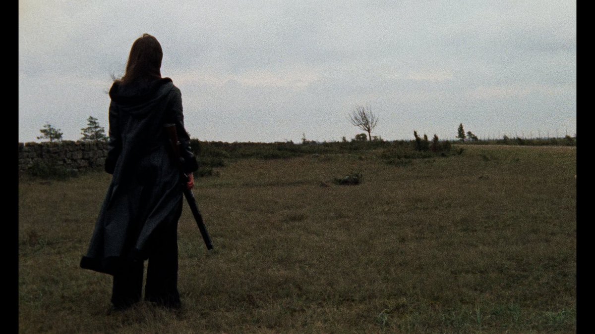 cinemafrances's tweet image. Thriller: A Cruel Picture (1973, Bo Arne Vibenius)