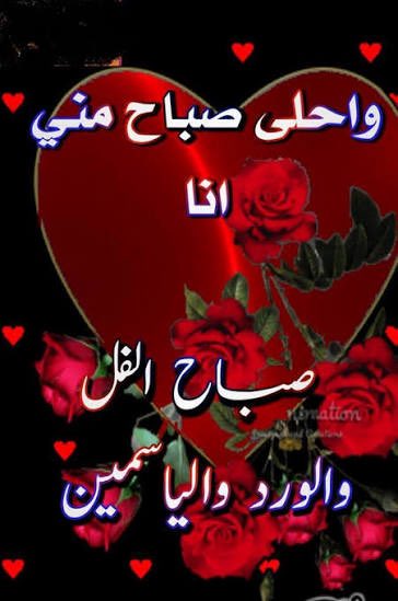 #صباح_الخيرᅠ 

صباح الورد صباح الشوق صباح الحب والرقة 🌹🥰