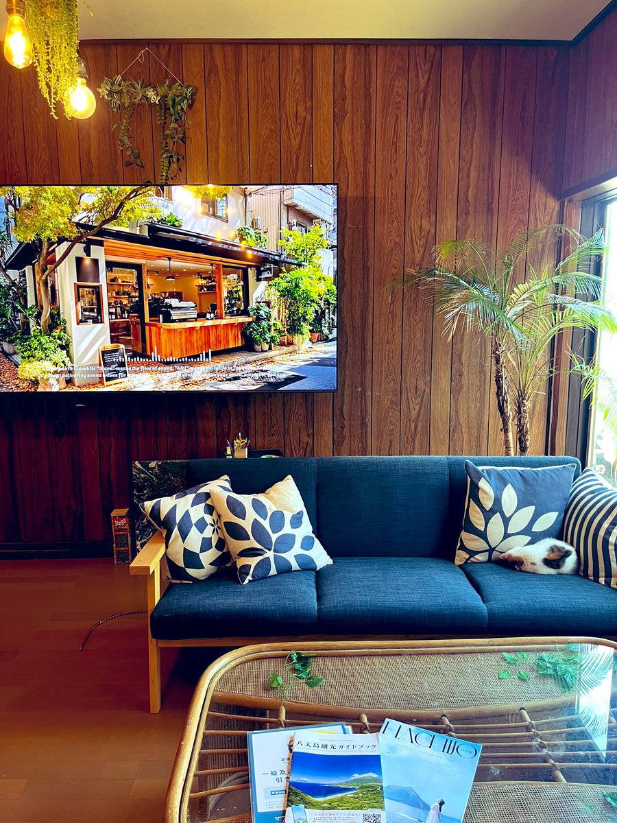 sasaosou's tweet image. チェックイン待ち
ちんまり寝ています🐈
#八丈島
#ゲストハウス