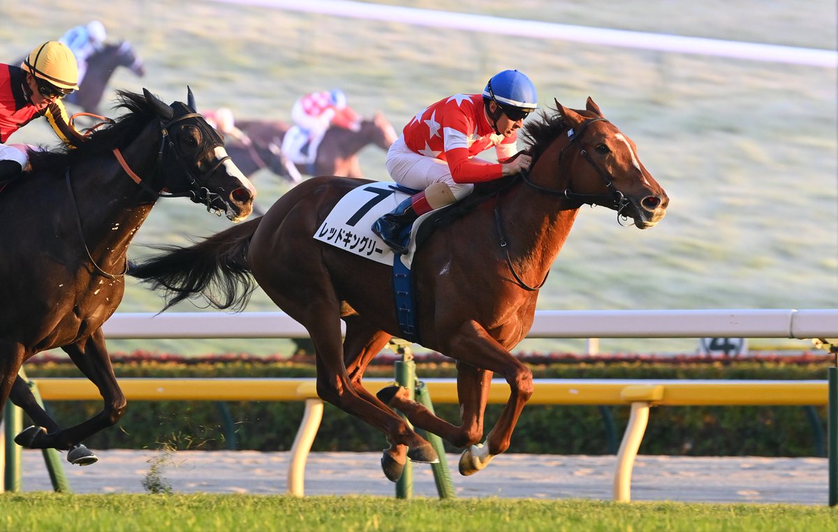 ponta (@ponrandona) / Posts / X