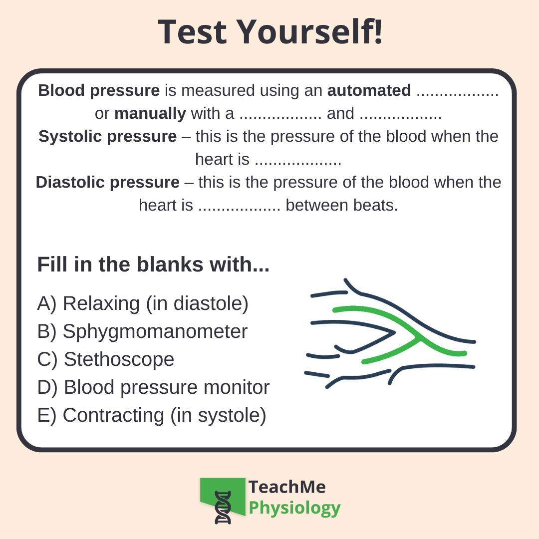 Want to learn more about fluid dynamics?

Check out our article on Blood Flow in Vessels
shorturl.at/QM9H9

Come back tomorrow for the answer!
#TeachMePhysiology #physiology #education