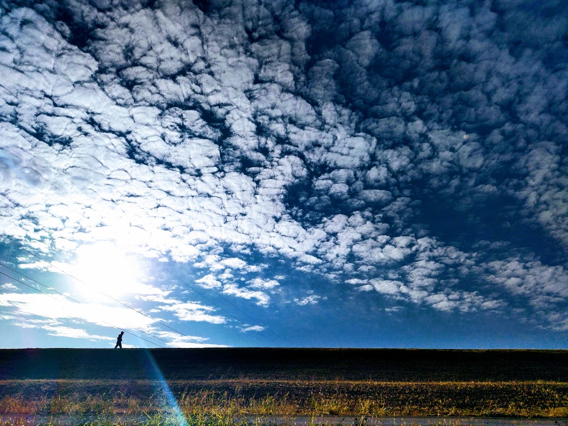 TomatoOsaka's tweet image. 当館前河川敷は晩秋のウロコ雲が支配。ご宿泊時は早朝のジョギングをおすすめします！
Try jogging at the riverbank in the morning during your stay at TOMATO!
#ゲストハウス #ホステル #guesthouse #hostel