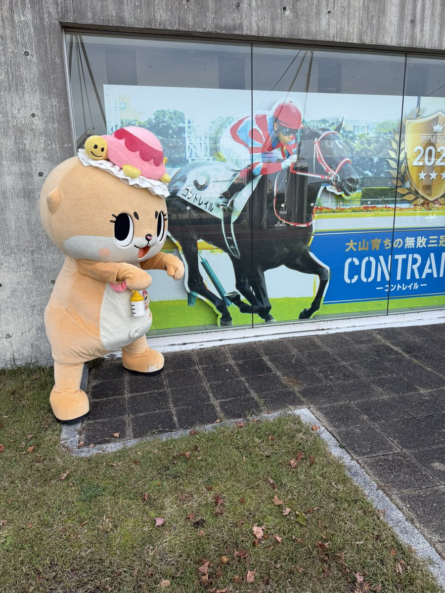 公式：ちぃたん☆広島 (@chiitanmomiji) / Posts and Replies / X