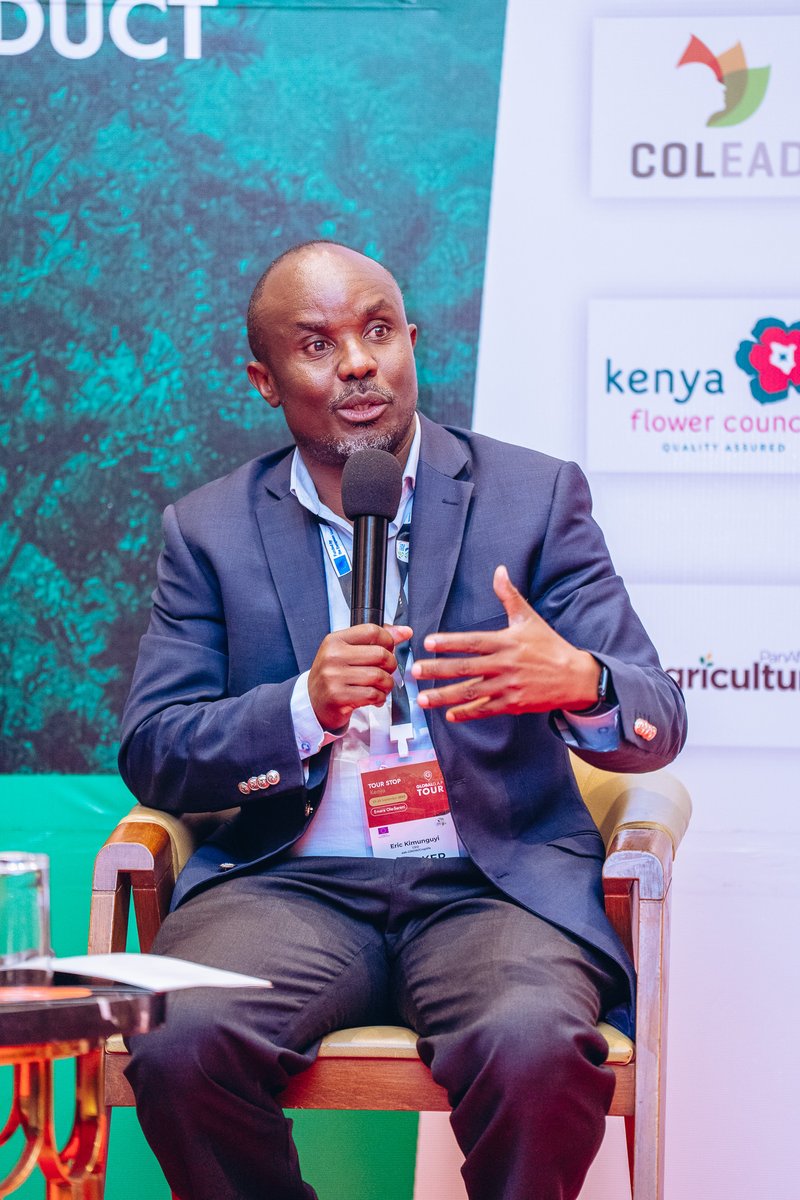 Rootooba tweet media