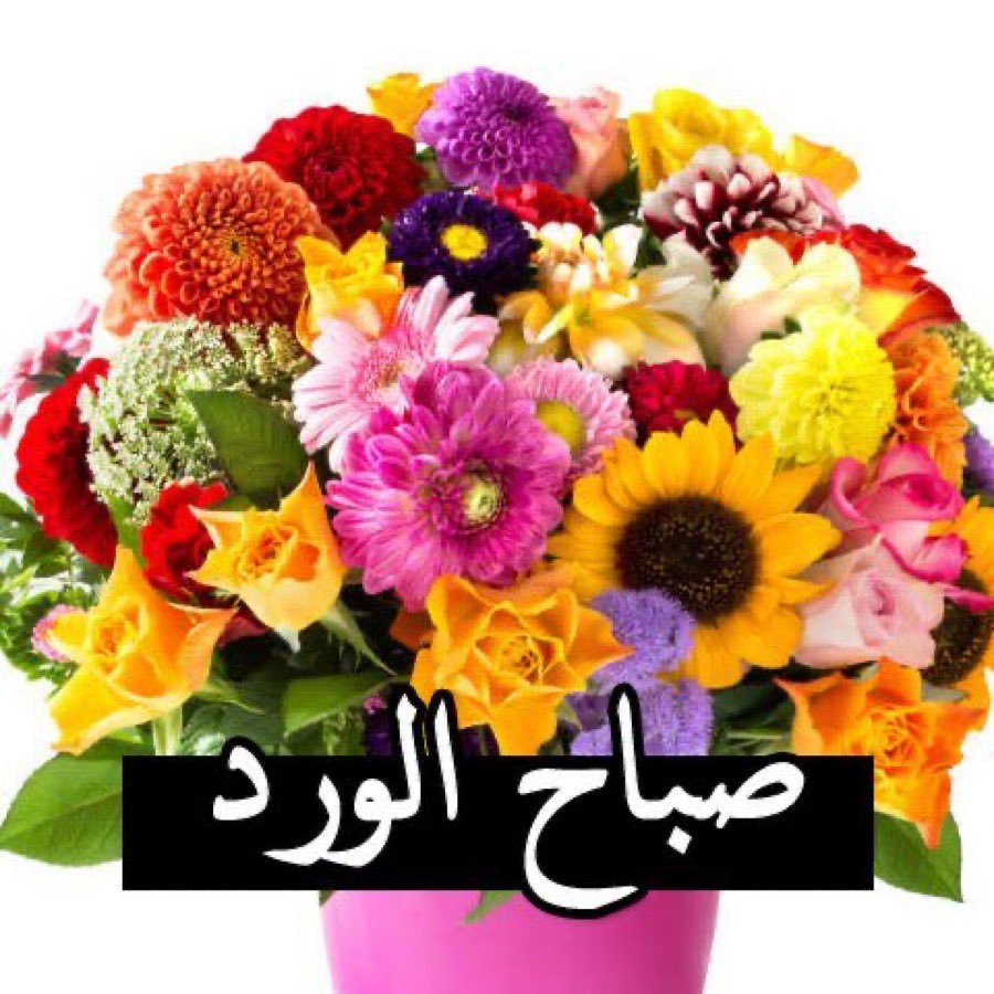 يقول أهل الفضل: 
من أجمل ما تهديه لأحبتك 
أن تدعو لهم وتقول: 
اللهم ألبسهم لباس التقوى
واكفهم ماأهمهم  وأسعدهم 
بطاعتك وارزقهم من واسع كرمك
واحفظهم  من كل  شر وفرج همهم وأسعد قلوبهم وأرح بالهم واغفر لهم 
ولوالديهم 💕