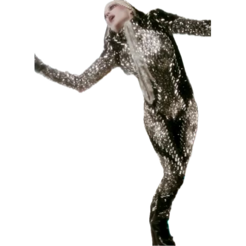 Daphne Guinness tweet media