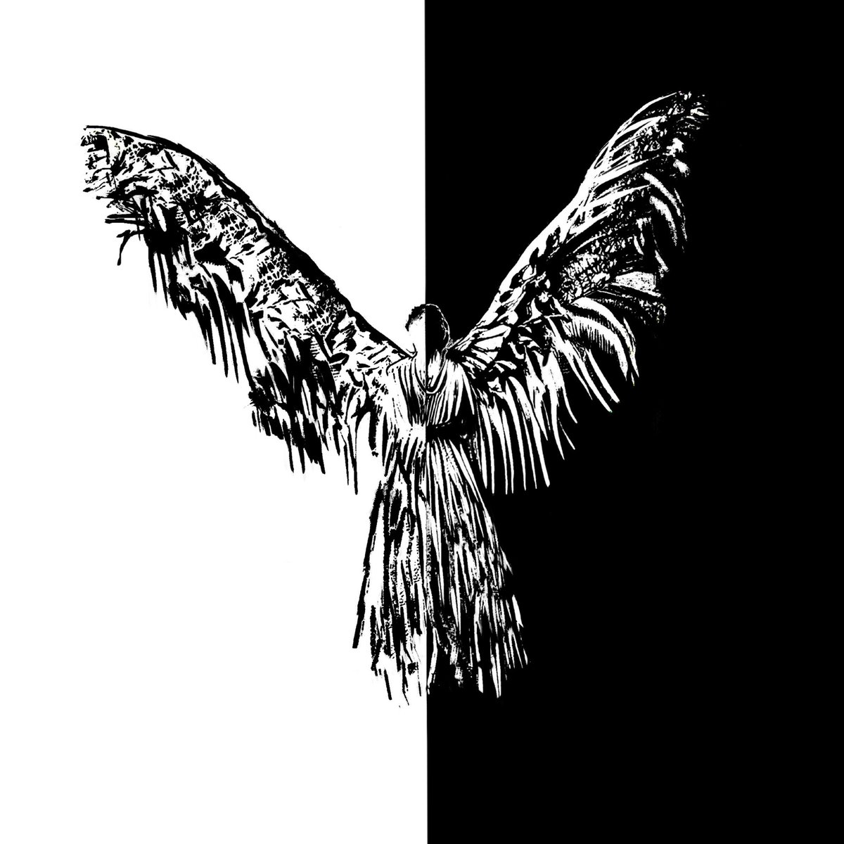 Serdar0zden's tweet image. I share some of my works for your algoritm😅