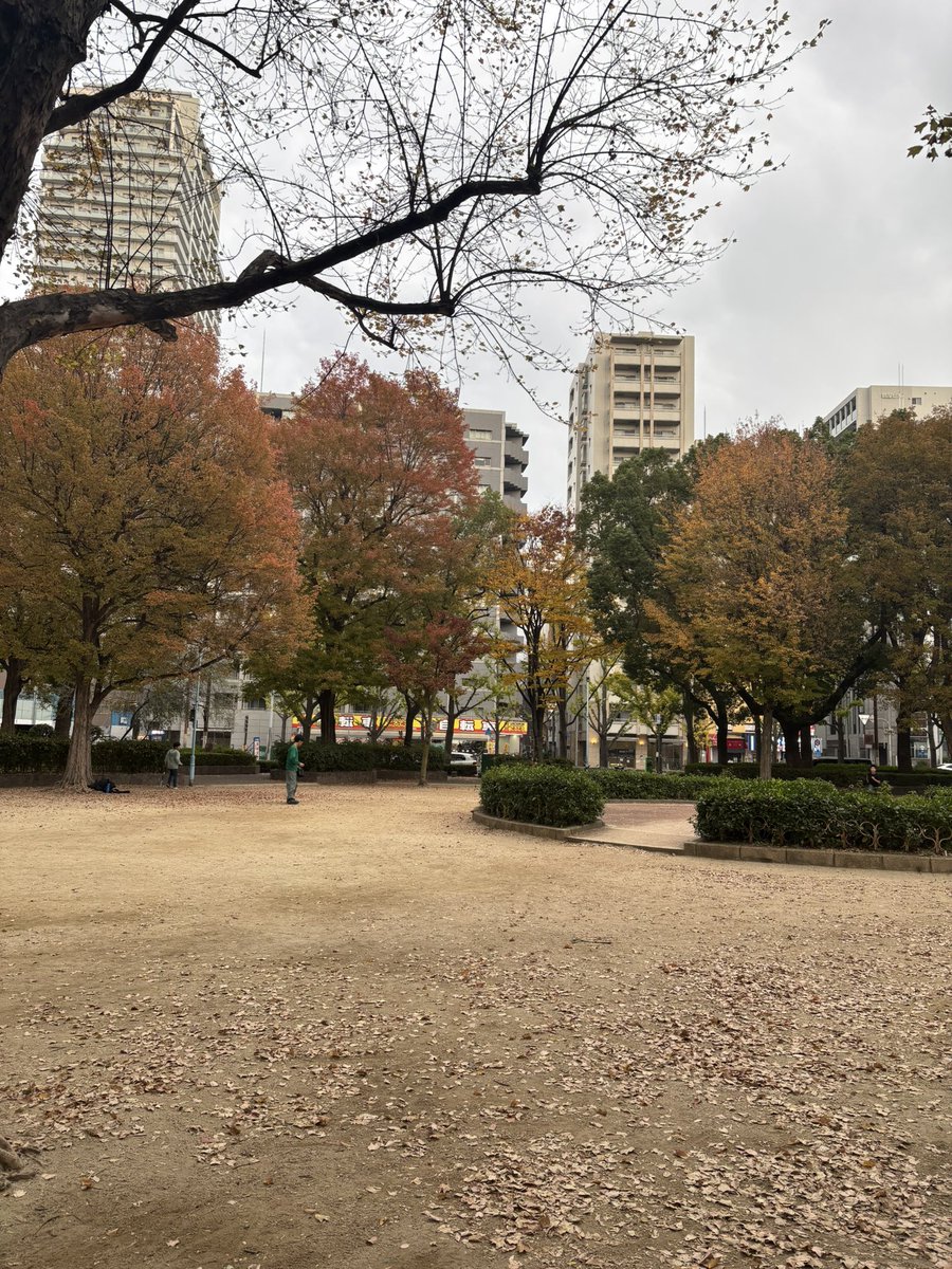 yuna_chil's tweet image. 🍂⛲️🐕久しぶりに午前から走っていました
嵐のように帰って行った🐕
