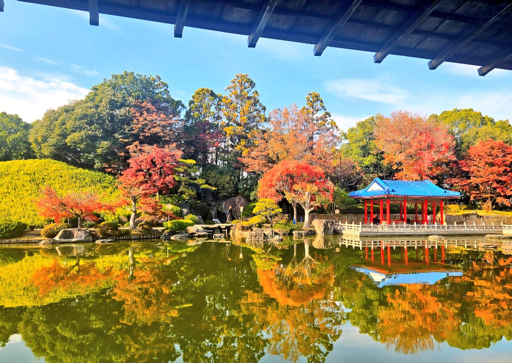 衣子🍀多忙により時々休みます🍀 (@jv_4z) / Posts / X