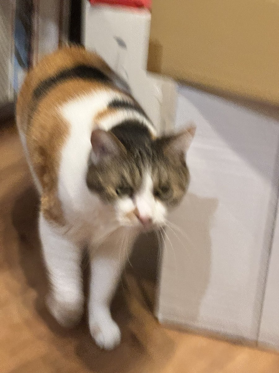 suggarmich's tweet image. あ、あぁぁ！