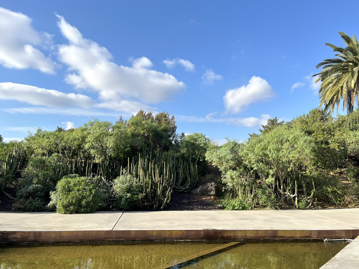 ctmp223's tweet photo. SnowMan EMPIRE バルセロナ MV聖地巡礼③
バルセロナ植物園に行ってきました!
人がほとんどいなくて、とても穏やかな時間を過ごせました。大自然の中、すのを感じることができて嬉しい🫶🏻
#SnowMan
#ENPIRE https://t.co/KGGNJMXru0