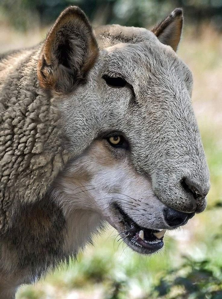 _belikebaddy's tweet image. Best caption wins, let’s go