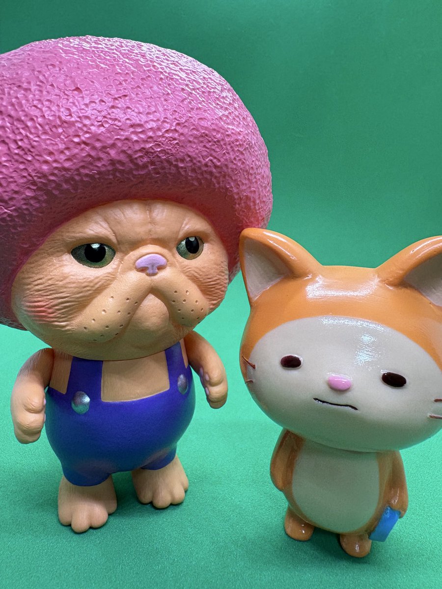 アプローズ　4lbsー150m 海ねこさん D-ATTACK #Bird Ark #はらへりねこ #エキゾチックアフロヘア #創作