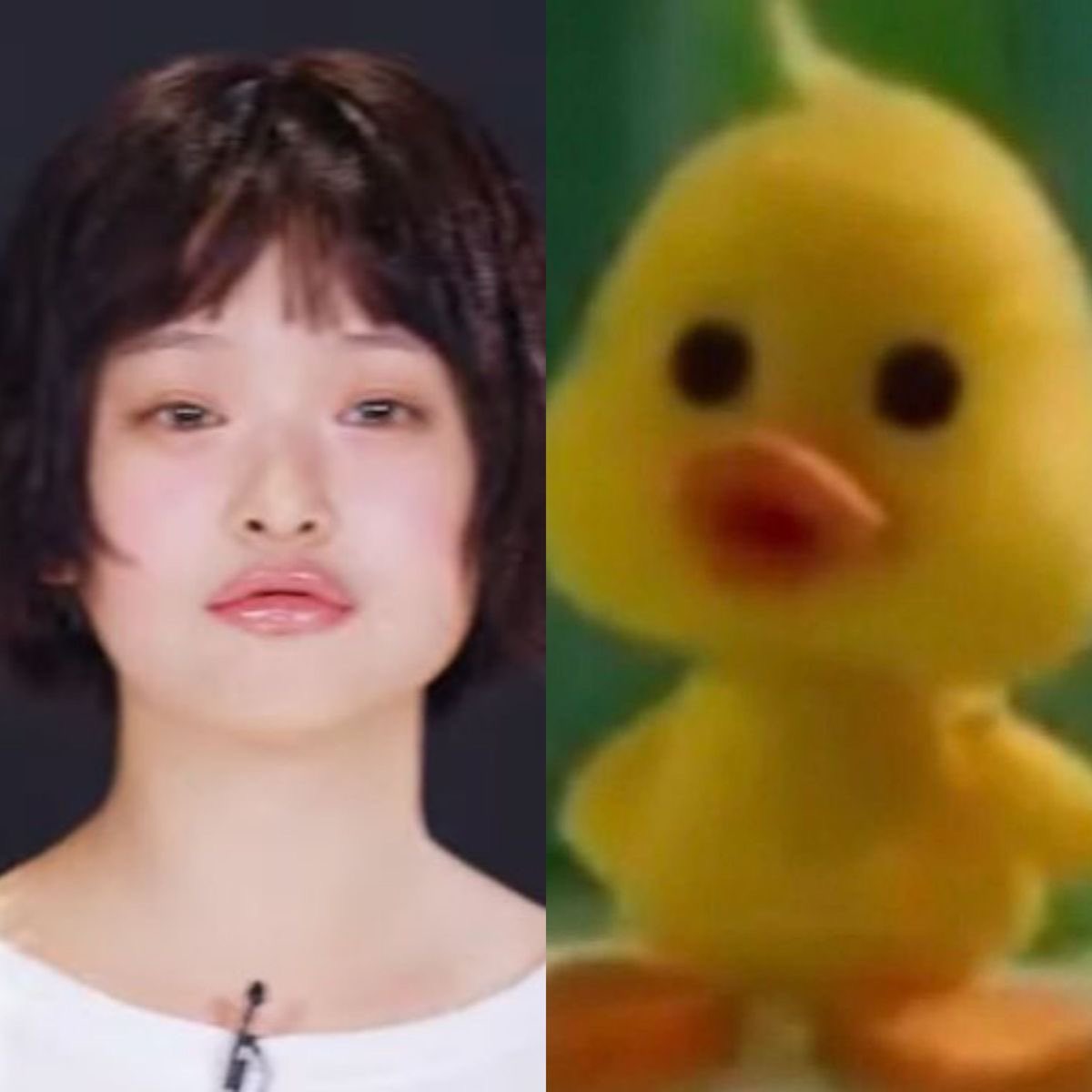 알티하면 재물과 행운이 찾아오는 오리짤