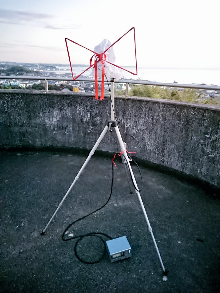 TH8901_422MHz's tweet image. これは新種のマエリベリー・ハーン🎀