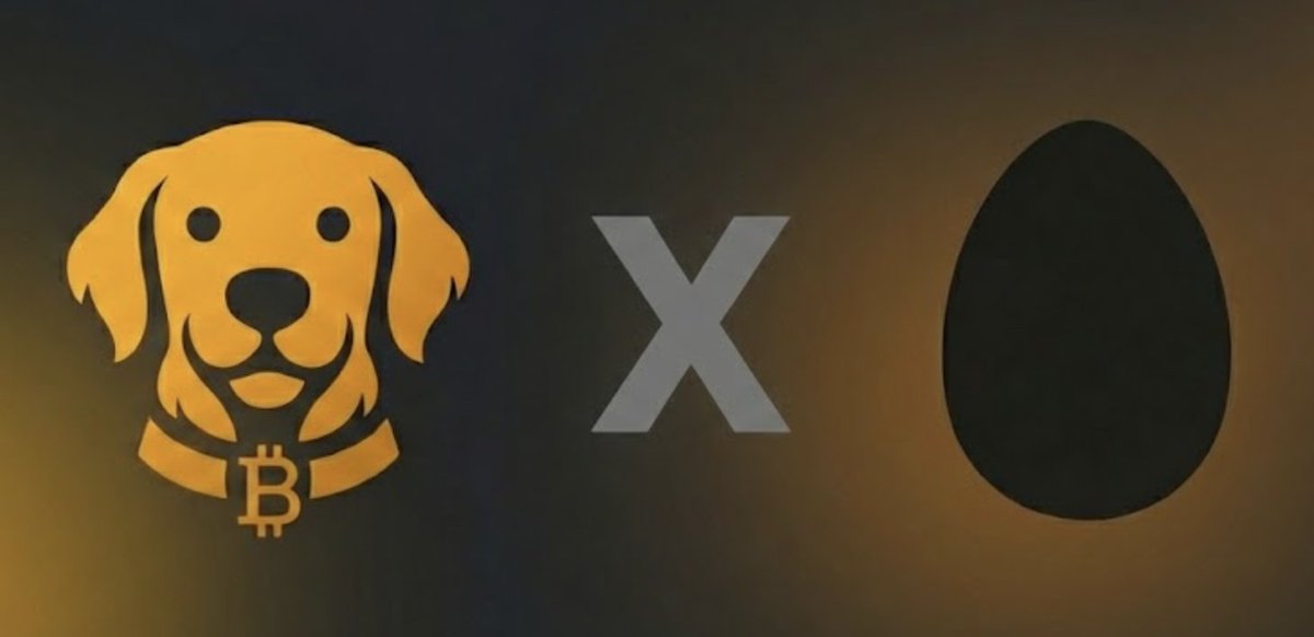 You can now track 𝕏 accounts with Bark on <a href="/SynopticCom/">Synoptic</a> !

⚡ 200 milliseconds median latency for all tweets, replies quotes and  retweets.

💸 Flat pricing per account tracked, unlimited scale.

We are the fastest 𝕏 tracker in the world - it's not a marketing trick, you can