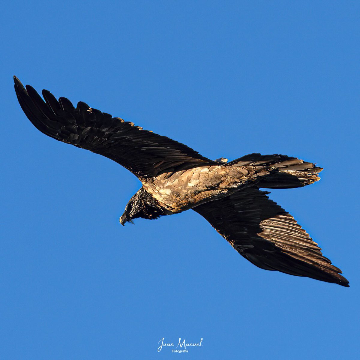 Excelente fin de semana de jornada fotográfica de @uskarfoto #uskarfoto en nuestros parques naturales de Castril, Huéscar y Puebla D. Fadrique #PNCastril #PNLaSagra en la Red de Parques Naturales de <a href="/MedioAmbAND/">Consejería de Sostenibilidad y Medio Ambiente</a> en <a href="/AndaluciaJunta/">Junta de Andalucía</a> <a href="/JuntaGranada/">Junta Granada</a> <a href="/ManuelFGranada/">Manuel Francisco</a> <a href="/AAMM_And/">Agentes Medioambientales de Andalucía</a> <a href="/ACEFOA/">ACEFOA</a>