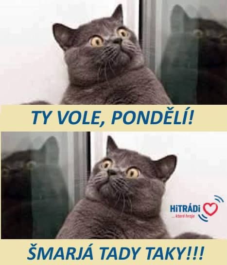 tenDivnej's tweet image. Snad máte všichni tak optimistický start do nového tydne, jako ten chlápek, který si ráno nesl na rameni boby. 😁