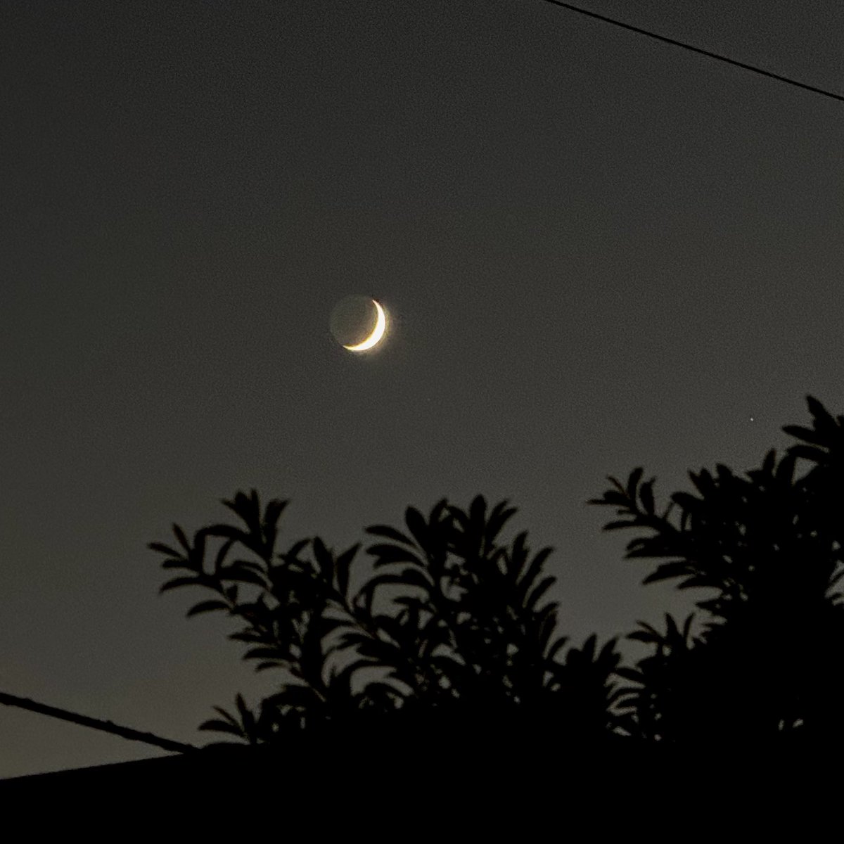 気ままに宇宙を楽しむ✨ (@zeta_orionis3) / Posts / X