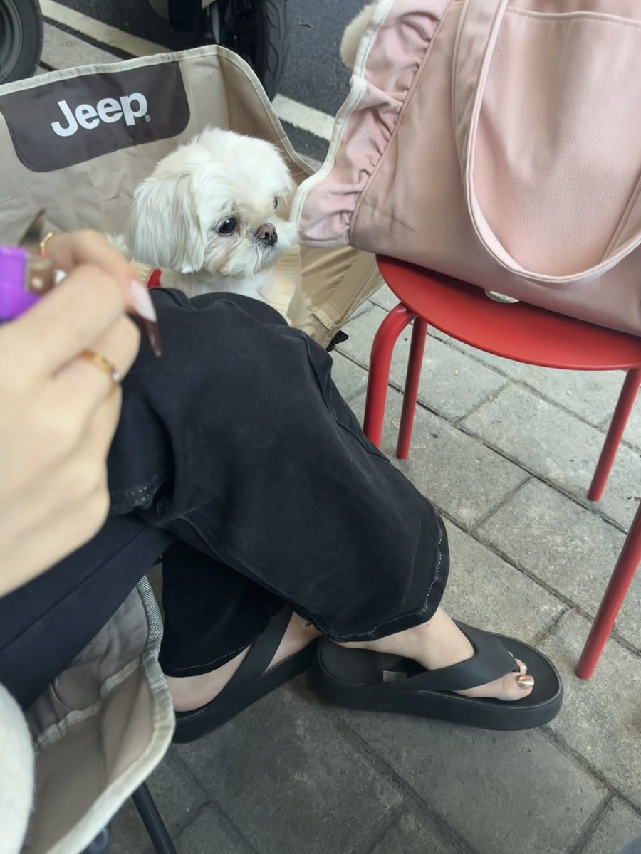 FieldmousePlus's tweet image. 舒适