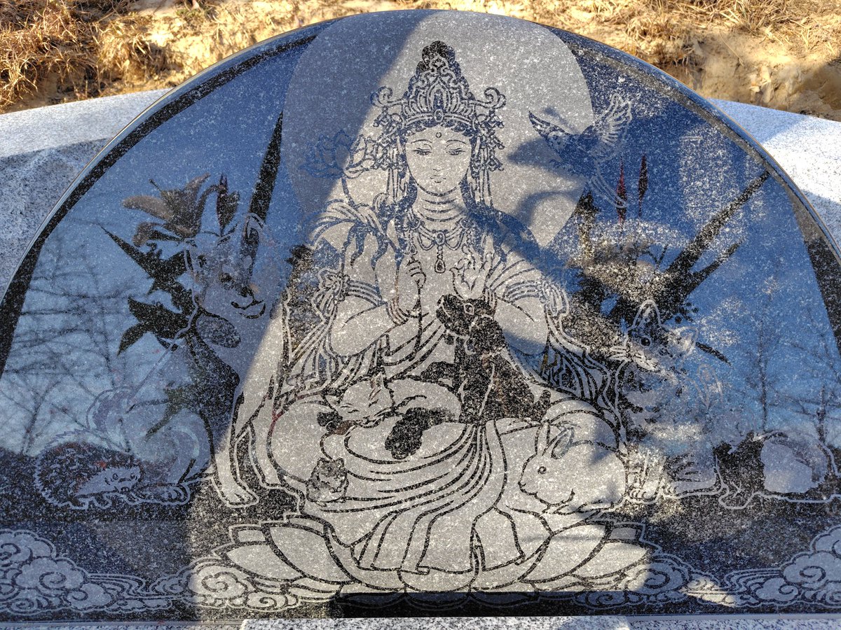 gokokushiji's tweet image. ペット霊園の開眼法要を厳修させて頂きました。

現在ペットは大切な家族の一員となっております。

しかしいつかは別れが来ます。

その時に安心して眠る事の出来る霊園を作りたい、という思いでペット霊園を建立させて頂きました。

石碑の絵は副住職が描き、それを石屋さんに掘っていただきました。