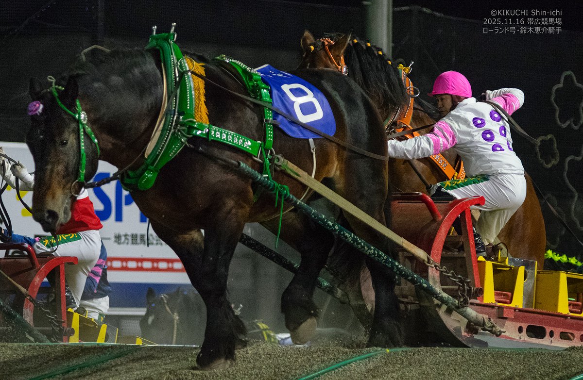 2025.11.16 帯広競馬場 ローランド号・鈴木恵介騎手 写真として