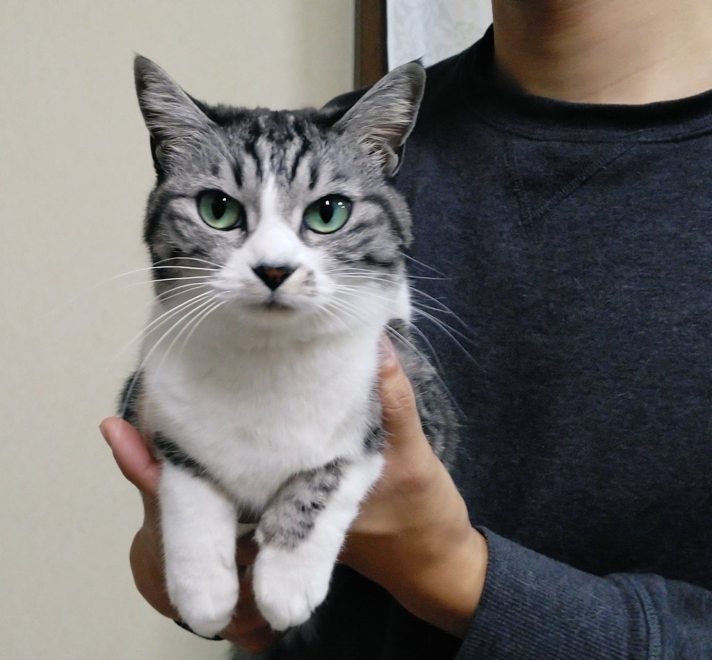 hamusuke㌠ (@tomonasisan) / Posts / X