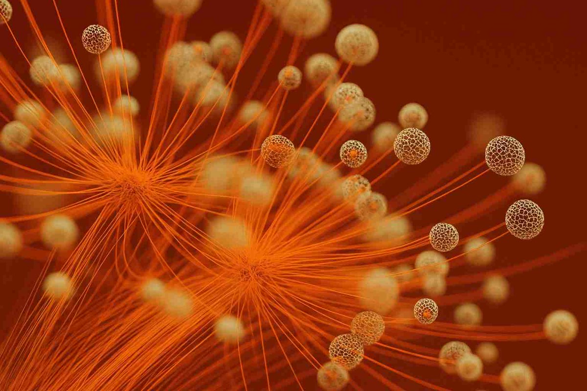 assurup's tweet image. Les attaques #DDoS figurent parmi les menaces les plus fréquentes auxquelles sont exposés les sites web, les serveurs et les services en ligne. Suis-je protégé si mon activité est touchée ?
assurup.com/blog/articles/…