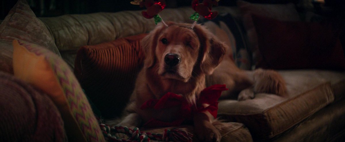 BELOVASHAWKEYE's tweet image. it’s officially hawkeye season 💜🏹🎄🎅🏻