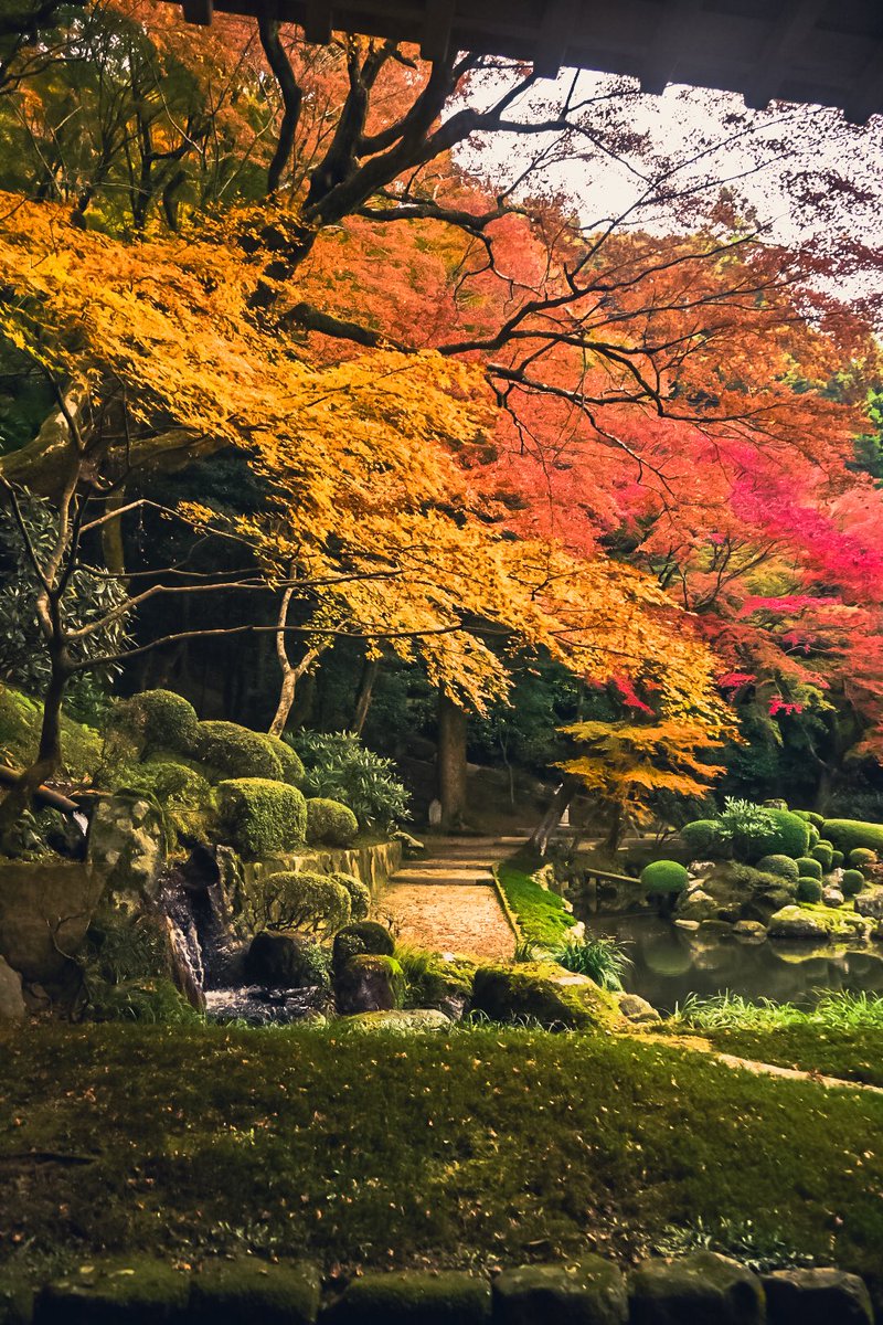 みーにゃ (@n0e8a2r4note) / Posts / X