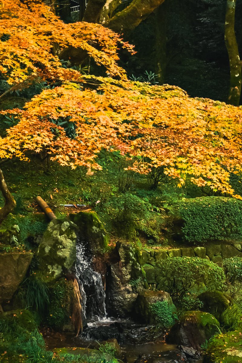 みーにゃ (@n0e8a2r4note) / Posts / X